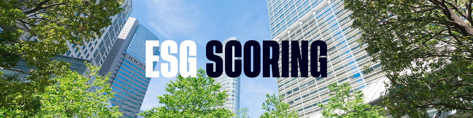 ESG scoring: How it works and what you need to know