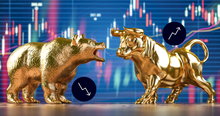 Bear vs bull markets